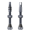 Ventil de bicicletă Peaty's Holeshot Fast Flow Tubeless Valves - 42mm / Slate
