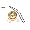 Stator RICK'S MOTORSPORT ELECTRIC pentru KTM