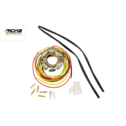 Stator RICK'S MOTORSPORT ELECTRIC pentru KTM Stator RICK'S MOTORSPORT ELECTRIC pentru KTM