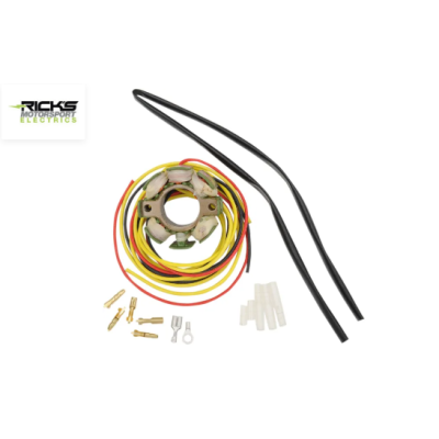 Stator RICK'S MOTORSPORT ELECTRIC pentru KTM