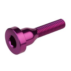 Șurub pentru capac BURGTEC Top Cap Bolt - Purple Rain Șurub pentru capac BURGTEC Top Cap Bolt - Purple Rain