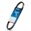 Curea de transmisie DAYCO Power CVT™