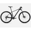 Bicicletă ORBEA ONNA40 29 L Negru-Silver Bicicletă ORBEA ONNA40 29 L Negru-Silver thumb