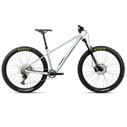 Bicicletă ORBEA LAUFEY H30 L Smooth Silver - Titanium