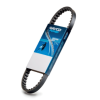 Cureau de transmisie DAYCO CVT™