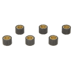 Role pentru variator TECNIUM 20x17mm 14gr Role pentru variator TECNIUM 20x17mm 14gr thumb