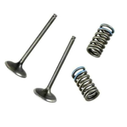 KIT VALVE DE ASPIRAȚIE (otel) + SPRING WÖSSNER Honda CRF 450 X 05-16