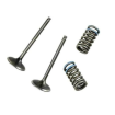 KIT DE VALVE DE EVACUARE (otel) + SPRINGI WÖSSNER HONDA CRF 450 X 05-14 KIT DE VALVE DE EVACUARE (otel) + SPRINGI WÖSSNER HONDA CRF 450 X 05-14 thumb