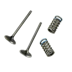 KIT DE VALVE DE EVACUARE (otel) + SPRINGI WÖSSNER HONDA CRF 450 X 05-14
