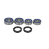 RULMENȚI PENTRU ROATA DIN SPATE ALL BALLS BMW F, G 650 1999-2015