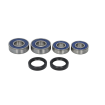 RULMENȚI PENTRU ROATA DIN SPATE ALL BALLS BMW F, G 650 1999-2015 thumb