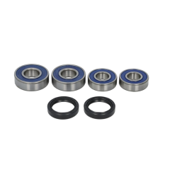RULMENȚI PENTRU ROATA DIN SPATE ALL BALLS BMW F, G 650 1999-2015 RULMENȚI PENTRU ROATA DIN SPATE ALL BALLS BMW F, G 650 1999-2015