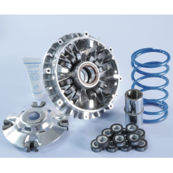 Variator POLINI Hi-Speed Variator Variator POLINI Hi-Speed Variator