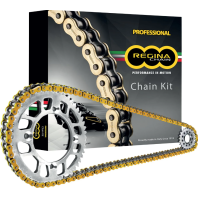 Set lanț și pinioane REGINA DUCATI 620 MON IE 02-03 - returnat
