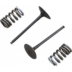Set supapa de admisie si arc ProX pentru SUZUKI RM-Z250