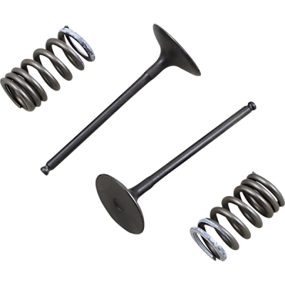 Set supapa de admisie si arc ProX pentru SUZUKI RM-Z250