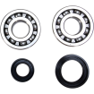 Set rulment arbore cotit ProX pentru YAMAHA Set rulment arbore cotit ProX pentru YAMAHA thumb