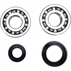 Set rulment arbore cotit ProX pentru YAMAHA