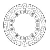 Disc frana fata MOTO-MASTER BRAKE DISC FLOAT HALO PRO BMW R NINE T ABS 23 Disc frana fata MOTO-MASTER BRAKE DISC FLOAT HALO PRO BMW R NINE T ABS 23 thumb