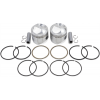 Piston WISECO PISTON KIT .010 48-80 BT FLB 1200