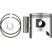 Piston WISECO PISTON STD LIBERTY 900 Piston WISECO PISTON STD LIBERTY 900 thumb