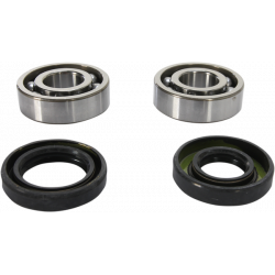 Set rulment arbore cotit ProX pentru YAMAHA