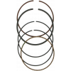 Segmente WISECO RING SET YFM 350 DH 4X4 14