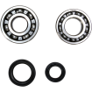 Set rulment arbore cotit ProX pentru SUZUKI Set rulment arbore cotit ProX pentru SUZUKI thumb