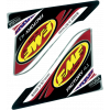 Stiker FMF FCTRY 4.1 USA DECAL REPL