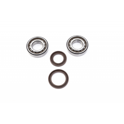 Set rulmenti arbore cotit ProX pentru KTM/HUSQVARNA