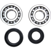 Set rulment arbore cotit ProX pentru HONDA Set rulment arbore cotit ProX pentru HONDA thumb