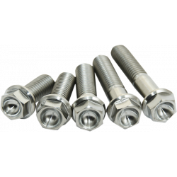 Suruburi din titan pentru motor HONDA CRF250 18-