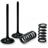 Set supapa de admisie si arc ProX pentru KTM Set supapa de admisie si arc ProX pentru KTM