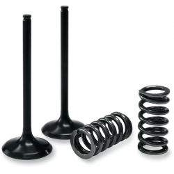 Set supapa de admisie si arc ProX pentru GAS GAS/YAMAHA YZ/WR450F Set supapa de admisie si arc ProX pentru GAS GAS/YAMAHA YZ/WR450F