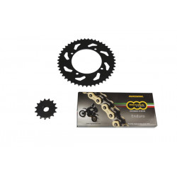 Kit lant si pinioane REGINA TRIUMPH TIG 800 Kit lant si pinioane REGINA TRIUMPH TIG 800