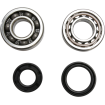 Set rulmenti arbore cotit ProX pentru KTM/HUSQVARNA Set rulmenti arbore cotit ProX pentru KTM/HUSQVARNA thumb