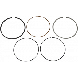 Segmente WISECO PISTON RING VM 3.895/.020 RANGER RZR 570 4X4 20 Segmente WISECO PISTON RING VM 3.895/.020 RANGER RZR 570 4X4 20