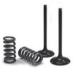 Set supapa de evacuare si arc ProX pentru HUSABERG/HUSQVARNA/KTM EXC-F thumb