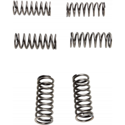 Set arcuri ambreiaj EBC CSK198 Set arcuri ambreiaj EBC CSK198