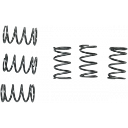 Kit arcuri pentru ambreiaj EBC CSK040 Kit arcuri pentru ambreiaj EBC CSK040