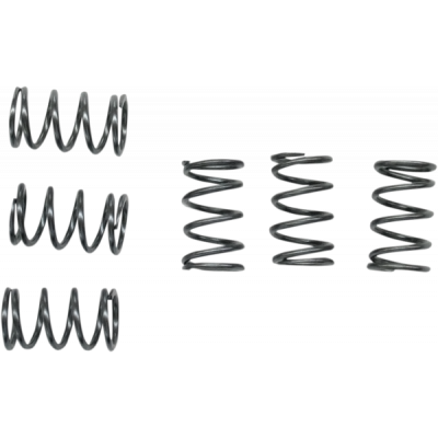 Kit arcuri pentru ambreiaj EBC CSK040