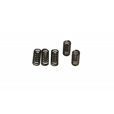 Set arcuri ambreiaj EBC CSK245
