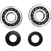 Set rulment arbore cotit ProX pentru YAMAHA Set rulment arbore cotit ProX pentru YAMAHA thumb