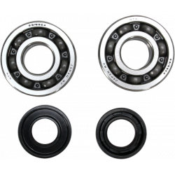 Set rulment arbore cotit ProX pentru YAMAHA