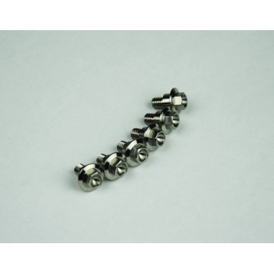 Suruburi din titan M6X12мм - 6 buc