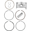 Piston WISECO PISTON HON 1MM TRX 400 FW 4X4 99-03