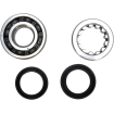 Set rulment arbore cotit ProX pentru HONDA Set rulment arbore cotit ProX pentru HONDA thumb
