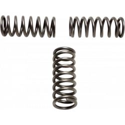 Set arcuri ambreiaj EBC CSK202 Set arcuri ambreiaj EBC CSK202