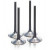 Supapa admisie (titan) ProX pentru HONDA CRF250R 18- Supapa admisie (titan) ProX pentru HONDA CRF250R 18- thumb