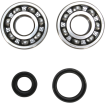 Set rulment arbore cotit ProX pentru SUZUKI Set rulment arbore cotit ProX pentru SUZUKI thumb